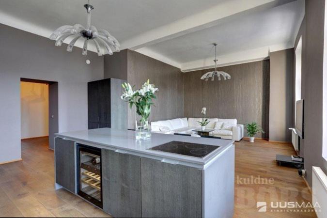 Old Town Apartment Pärnu Dış mekan fotoğraf